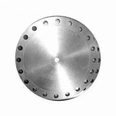 China Pipe Lines Connect Titanium Flange / Titanium Blind Flange / Titanium Weld Neck Flange / Titanium for sale