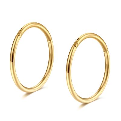 China 20g 18g 16g 6-16mm Gold Hinged Circles Septum Clicker Nose Rings Hinged Ring Clicker Cartilage Helix Hoop Earrings for sale