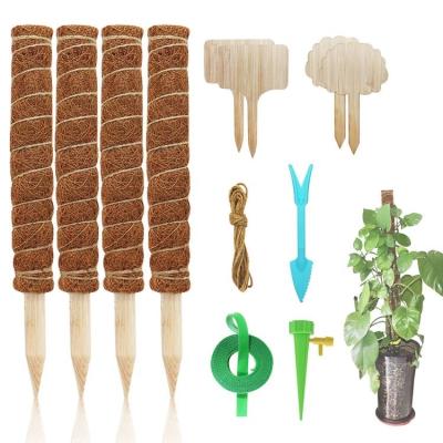 China Coir Pole For Plant Moss Stick Coir Totem Pole Potted Moss Pole For Gardening Planting Stem Plants Monstera Moss Pole Climbing Coconut Sticks Plants For to stick on for sale