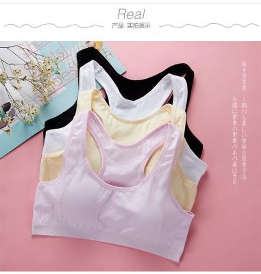 China Sustainable Development Period Student Sports Vest All Cotton Loose underwear Girls Sports Bra Wholesale for sale