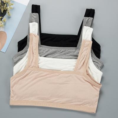 China Sustainable Modal Children Girl Bra Students Underwear During Development Teenage Student Brachild Underwear Girl for sale