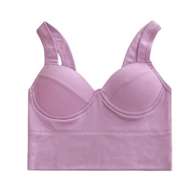 China Sustainable Comfortable  Bra  Back Small Vest Wide Shoulder Chest Gathered Together Without Steel Ring Underwear for sale