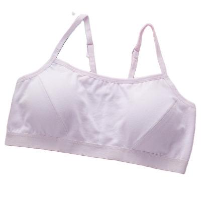 China Sustainable Girl Development 100% Cottonbra Middle School Students No Steel Ring Sports Bra Breathable Sports Underwear for sale