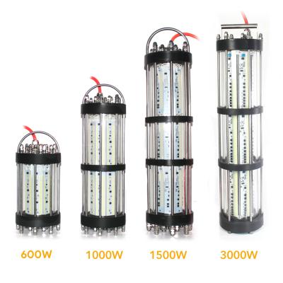 China Newest Direct Aluminum Stainless Steel 3000W LED Underwater Fishing Light Catching Fish Processing Plant for sale