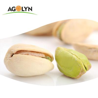 China AGOLYN Delicious Natural Additives Dry Free Roasted Pistachios Salted Shell for sale