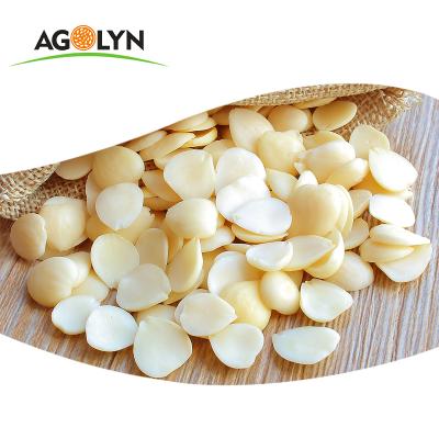 China AGOLYN Factory Wholesale Dried Bitter Almonds Raw Bitter Apricot Kernels For Sale for sale