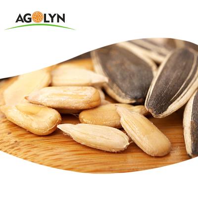 China Dry High Quality Fresh Peeled Sunflower Seed Kernel for sale