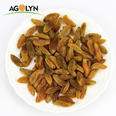 China AGOLYN Dried Xinjiang Dried Golden Sweet Kismis Raisins Bulk Grapes for sale