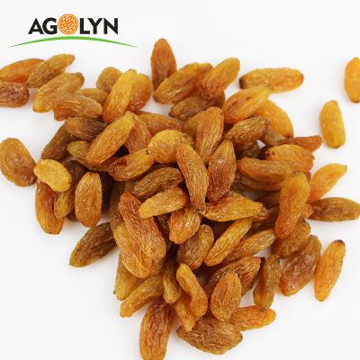 China AGOLYN Jumbo Size Sultana Seedless Red Raisin for sale