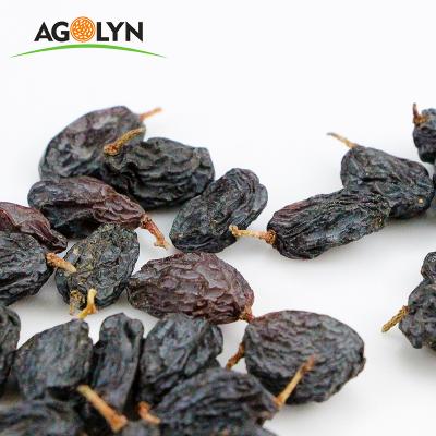 China AGOLYN Natural Organic Dried Chinese Black Raisin for sale