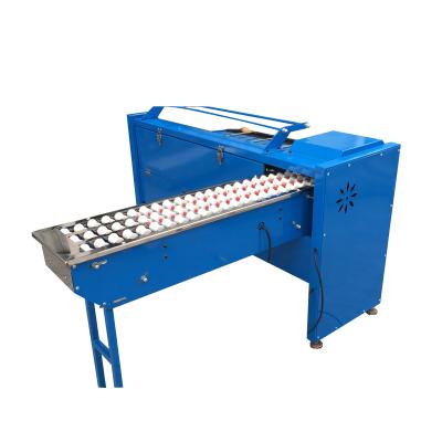 China Cheap snack factory price egg grading machine/chicken egg sorter/automatic egg weight classifier machine for sale