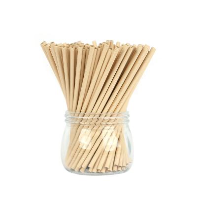 China 100% Natural Biodegradable Bamboo Pulp Drinking Straws Disposable Bundle Straws For Juice for sale