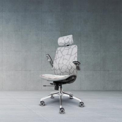 China 2022 mesh sillas de oficina modern high quality ergonomic director (height) ergonomic office chair with dual lumbar support function for sale