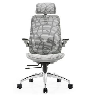 China 2022 Modern High Quality Breathable Mesh Adjustable Ergonomic Manager Double Function Lumbar Support Ergonomic Office Chair (Height) for sale