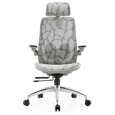 China (Height) 2022 Fast Delivery Adjustable Foshan Modern High Quality Ergonomic Mesh Manager Office Chair With Double Lumbar Support for sale