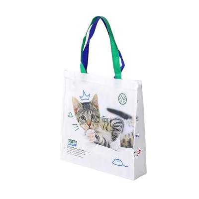 China Wholesale Custom Brand Recyclable Logo Printed Reusable Eco Biodegradable Waterproof Non Woven Carrie Bag Non Woven Tote Bag for sale