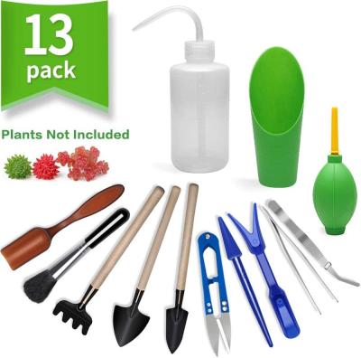 China 13 Piece Modern Mini Garden Hand Tools Transplanting Kit Gardening For Indoor Miniature Succulent Planting Tool for sale