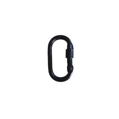 China US Carabiner Rising High Quality 25kn Rising Carabiner for sale