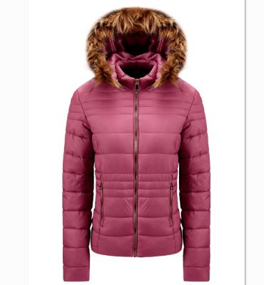 China Anti-wrinkle women's thickened padded jacket with faux fur hoodies China supplier selling for winter for sale