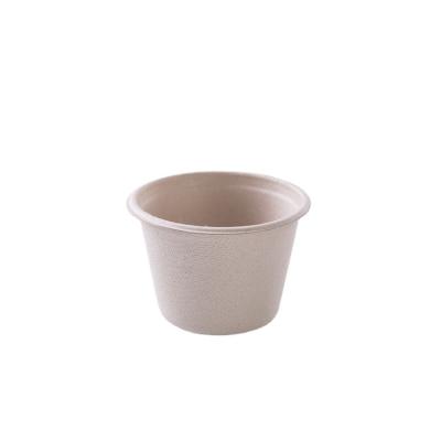 China High Quality Compostable Bagasse Minimalist Wholesale Customized Disposable Coffee Cup With Lid for sale