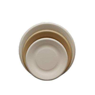 China Factory direct sale bagasse minimalist biodegradable disposable dish for birthday party for sale