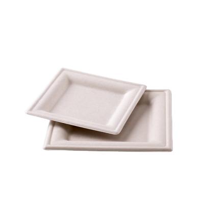 China Eco-Friendly Disposable Square Wheat Straw Pulp Plates for sale