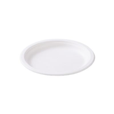 China Minimalist Wholesale Customized 12 Inch Disposable Bagasse Environmental Friendly Dish For Dinner for sale