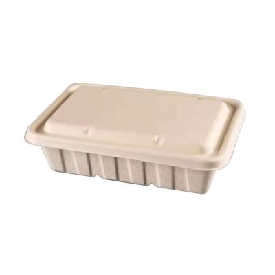 China Customized wholesale country bagasse 2500ml food box environmental protection disposable take out box with lid for sale