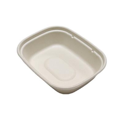 China Minimalist 1000ml Bagasse Food Tray With Lid for sale