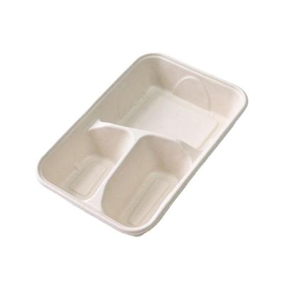 China Hot Selling Simple Food Grade 3 Grid Bagasse Food Tray Takeaway Box Bento Box With Lid for sale