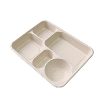 China Single 5-Compartment Bagasse Food Tray With Lid for sale