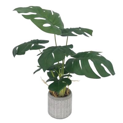 China Minimalist OEM /ODM Gift Hydroponics Plants Faux Greenery Tabletop Decorative Artificial Bonsai With Glass Pots For Home Decor for sale