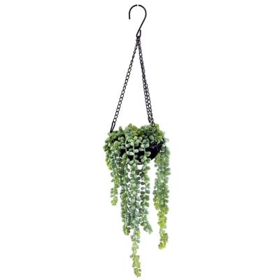 China Minimalist Wall Mounted Decoration Artificial Succulent Hanging Plants For Home Office for sale