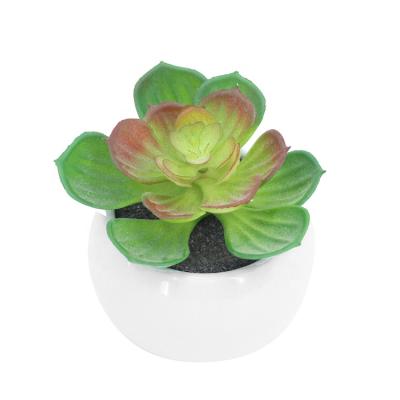 China Hot Selling Minimalist YIWAN Mini Artificial Green Succulent Bonsai With Ceramic Pot For Home Office Decoration Small Potted for sale