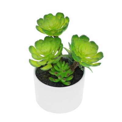 China Minimalist YIWAN artificial hot sale mini succulent bonsai with ceramic pot for home office decoration bonsai small green pot for sale