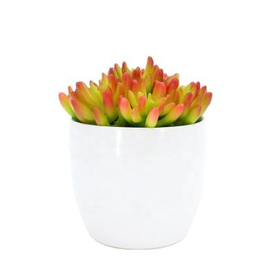 China Minimalist artificial high quality mini succulent bonsai with ceramic pot for home office decoration bonsai small orange pot for sale