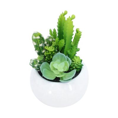 China Minimalist YIWAN green artificial hot sale mini succulent bonsai with ceramic pot for home office decoration small bonsai pot for sale