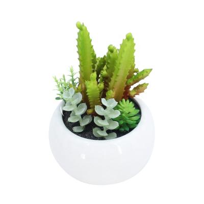 China Mini minimalist hot sale artificial green succulent bonsai with ceramic pot for home office decoration bonsai pot small for sale