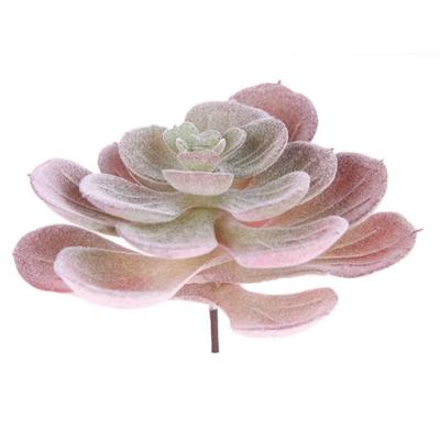 China Eco - Friendly Wholesale Echeveria Korea Artificial Succulents for sale