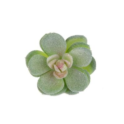 China Eco-Friendly Cheap Selections Of Mini Fake Artificial Succulent Plants for sale