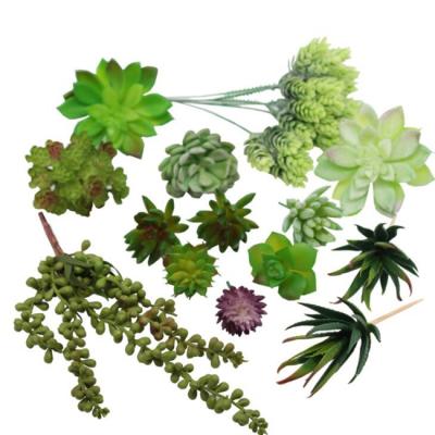 China Eco - Friendly Mixed 14 Pcs Artificial Succulent Plants Picks for sale