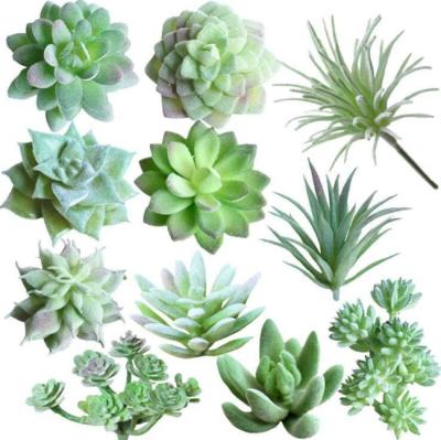 China Supla 11 Pcs Eco-Friendly Faux Succulents Assortment Mini Artificial Succulents Picks Unpotted in Green Assembled in Different Type for sale