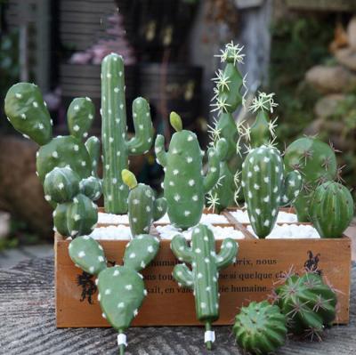 China Plant Eco - Friendly Ornamental Cacti Straight And Artificial Unpotted Succulents Cacti Plants for sale