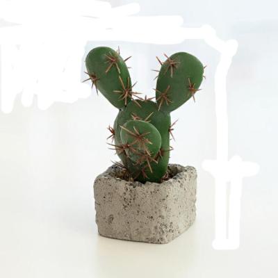 China Mini Bonsai Succulent Plants Artificial Eco-friendly Realistic Cactus Potted for sale