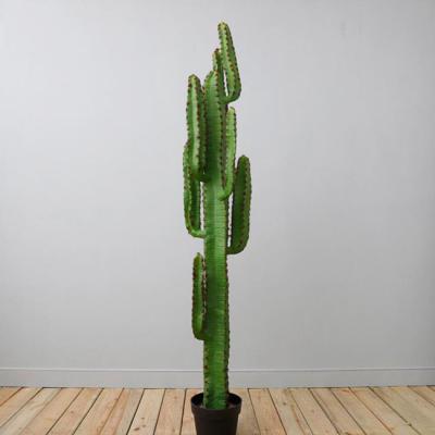 China 165cm Tall Eco - Friendly Artificial Cactus Plants For Home / Garden / Hotal Decor for sale