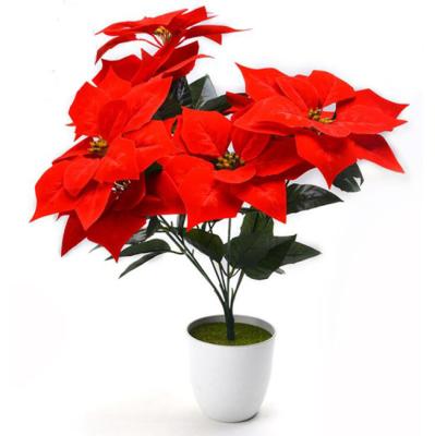 China 7 Heads Christmas Flower Eco - Friendly Artificial Poinsettia for sale