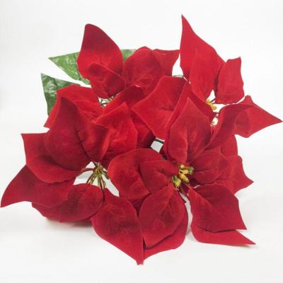 China Eco-friendly High Quality Artificial 5 Heads Poinsettia Christmas Flower for sale