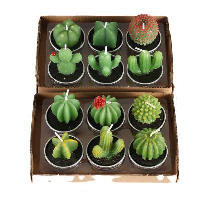 China Art Decor HY 12pcs Set Creative Scent Accessories Candles Cute Succulents Candles Open Scented Candle Gift Set for sale