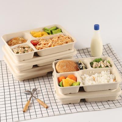 China Modern Cheap Disposable Degradable Eco Friendly Pulp Lunch Box Healthy Dish With Cover for sale