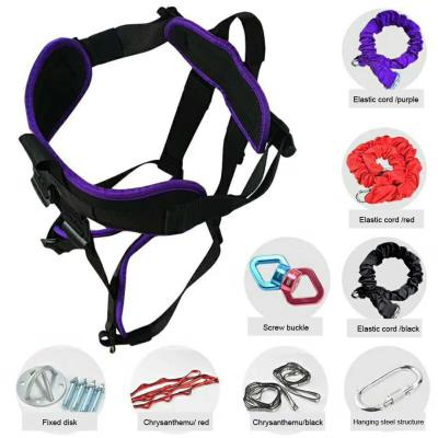 China Tug Sets High Tensile Bungee Band Fitness Factory Supply Flexibility Yoga Pilates Aerial Rope Elastic Suspension Sling for sale